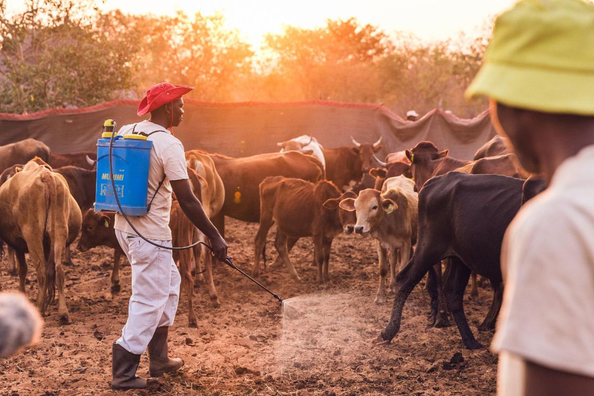 Where Conservation Meets Community