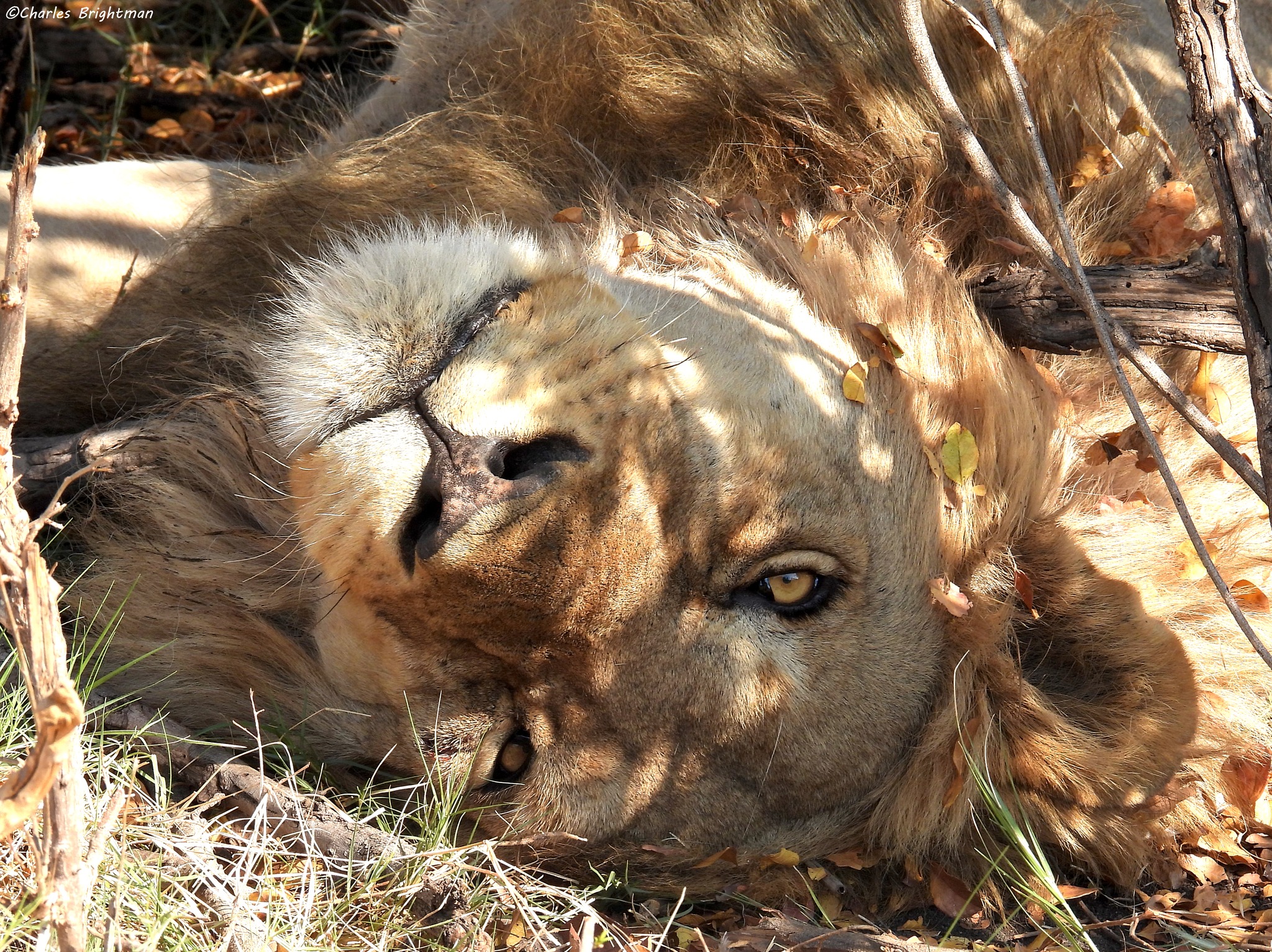 462475979 10160008301927624 2752280954320689489 n