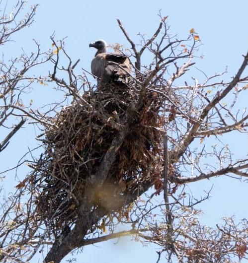 51597843107 8ce5452307 o