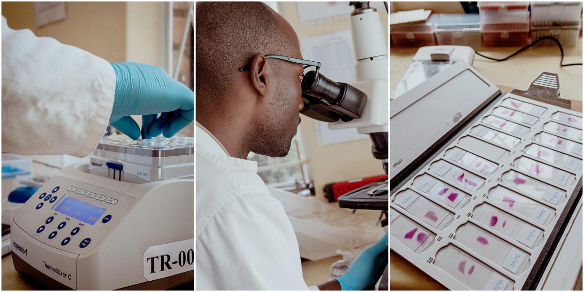 Together We Can Unlock 15000 for Wildlife Forensics