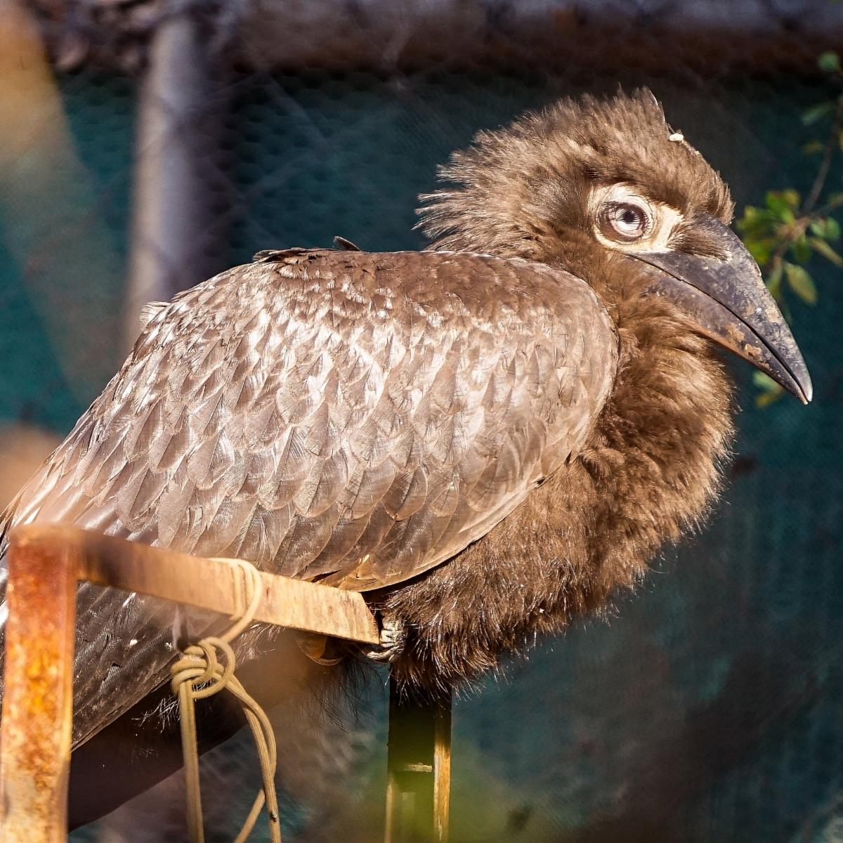 54524983718 cf138eb222 o copy MedRes