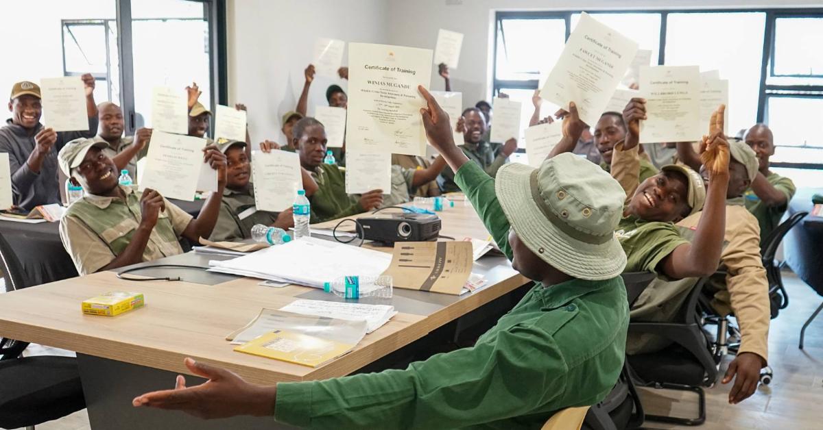 54773527903 ddb8a3b3d8 o copy MedRes