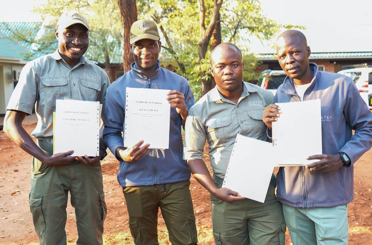 54773539478 9cfb534ac7 o copy MedRes