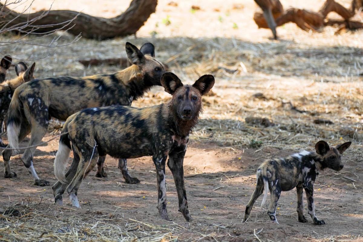 54792635572 6ce5d2a869 o copy MedRes