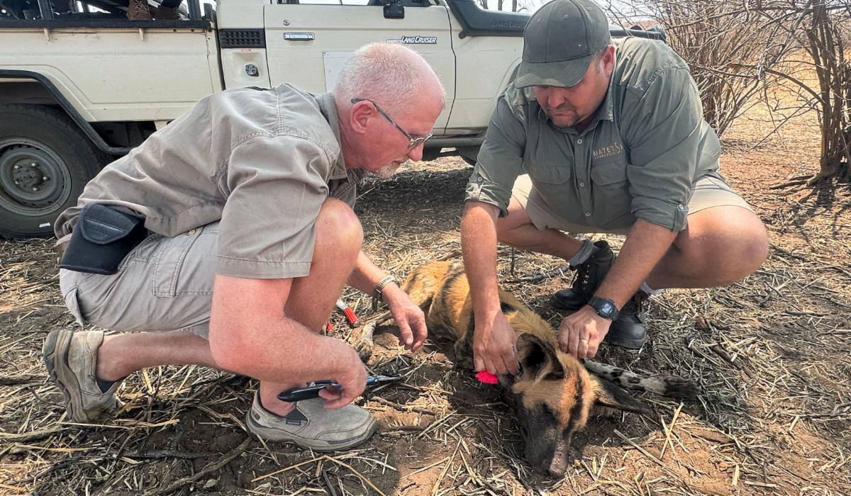 54793719864 2f6a6a3055 o copy MedRes