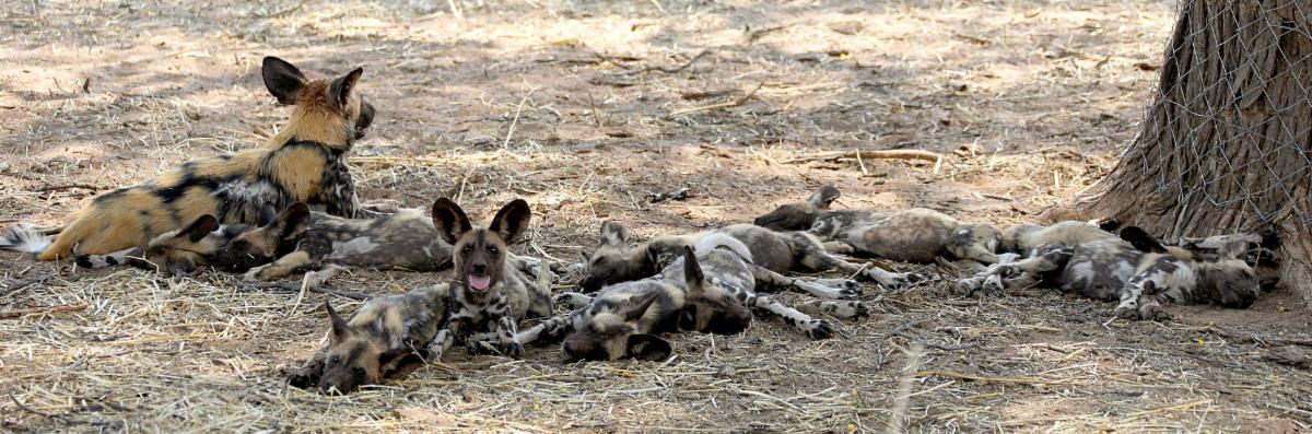 54897577977 a0c4e86c93 o copy MedRes