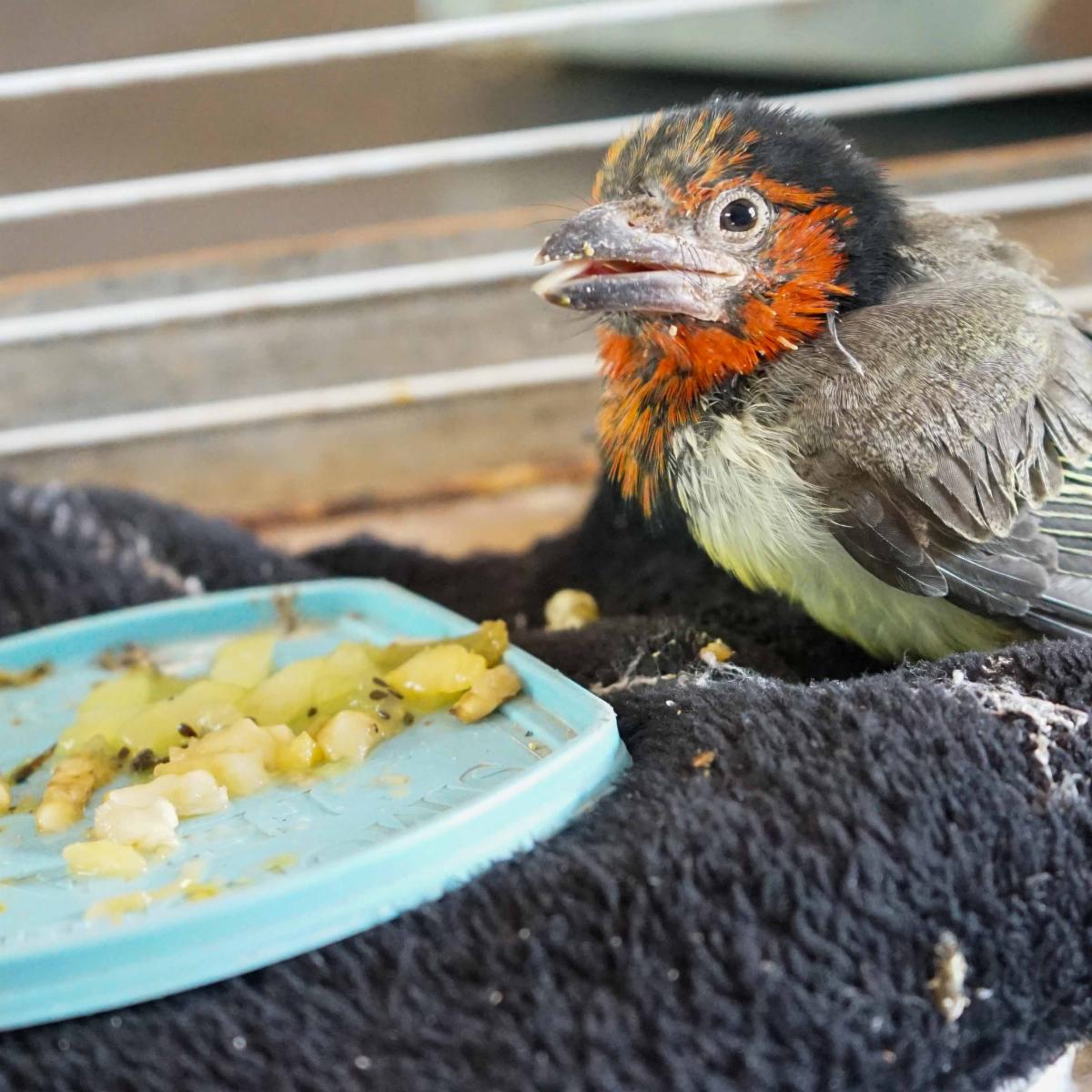 54918740284 4f9bd64475 o copy