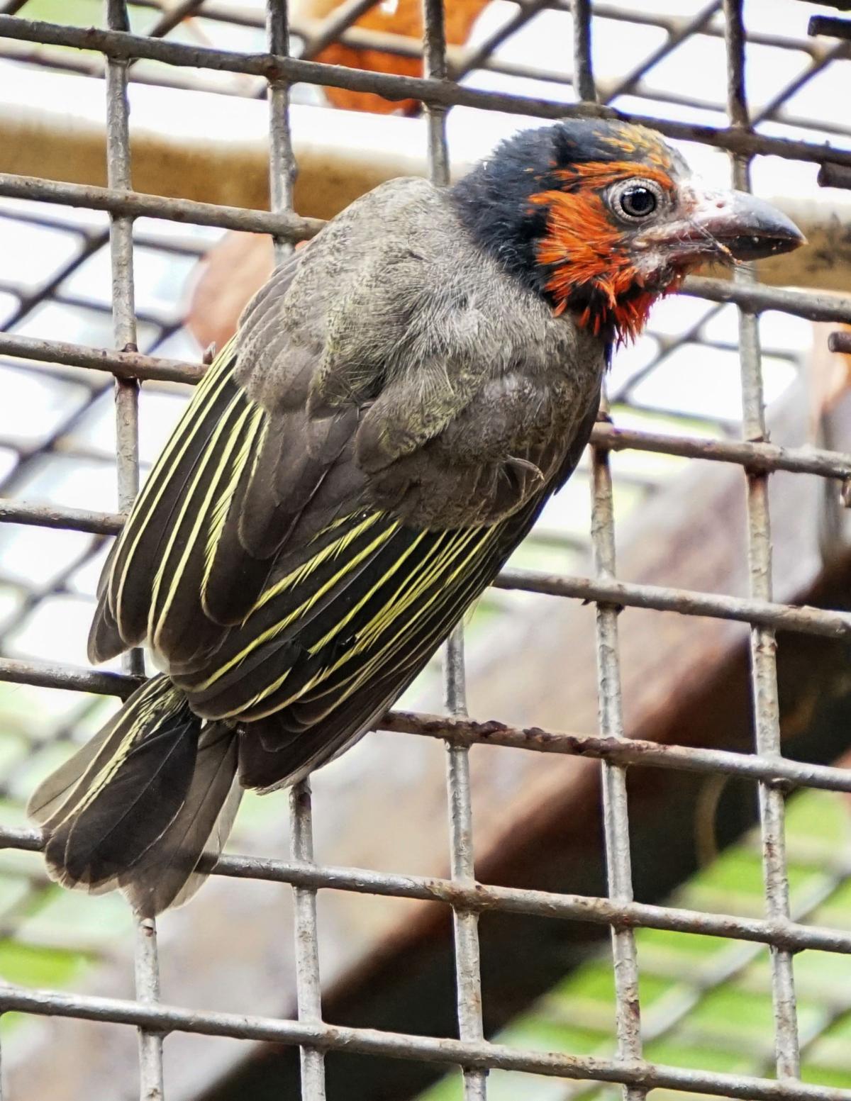 54922086372 7912f8c667 o copy