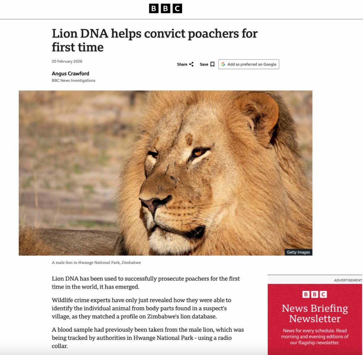 BBC Link to VFWT Lion DNA article