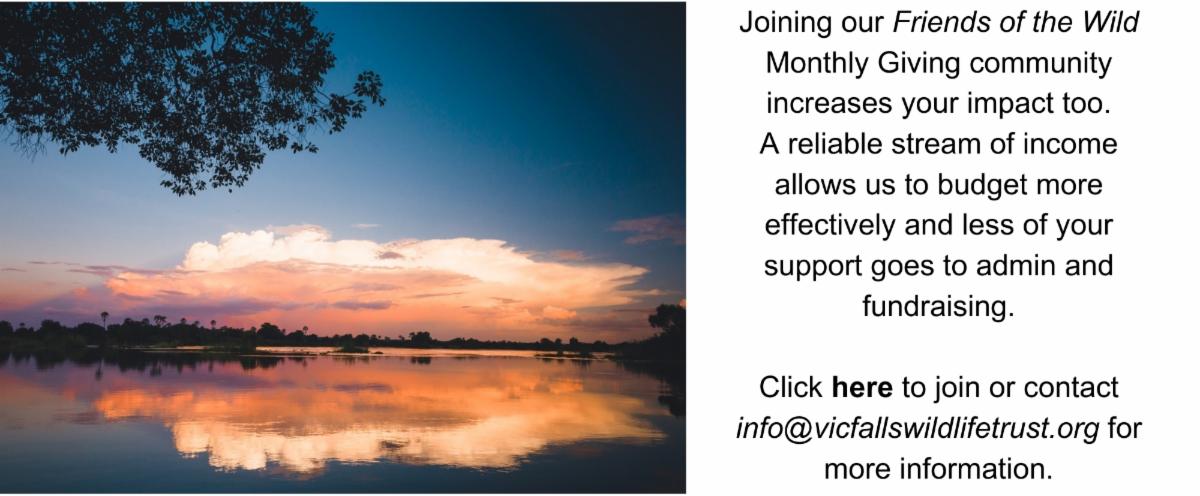 Friends of the Wild 2 2