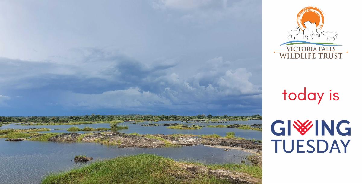 It's Giving Tuesday! 1 It’s Giving Tuesday!