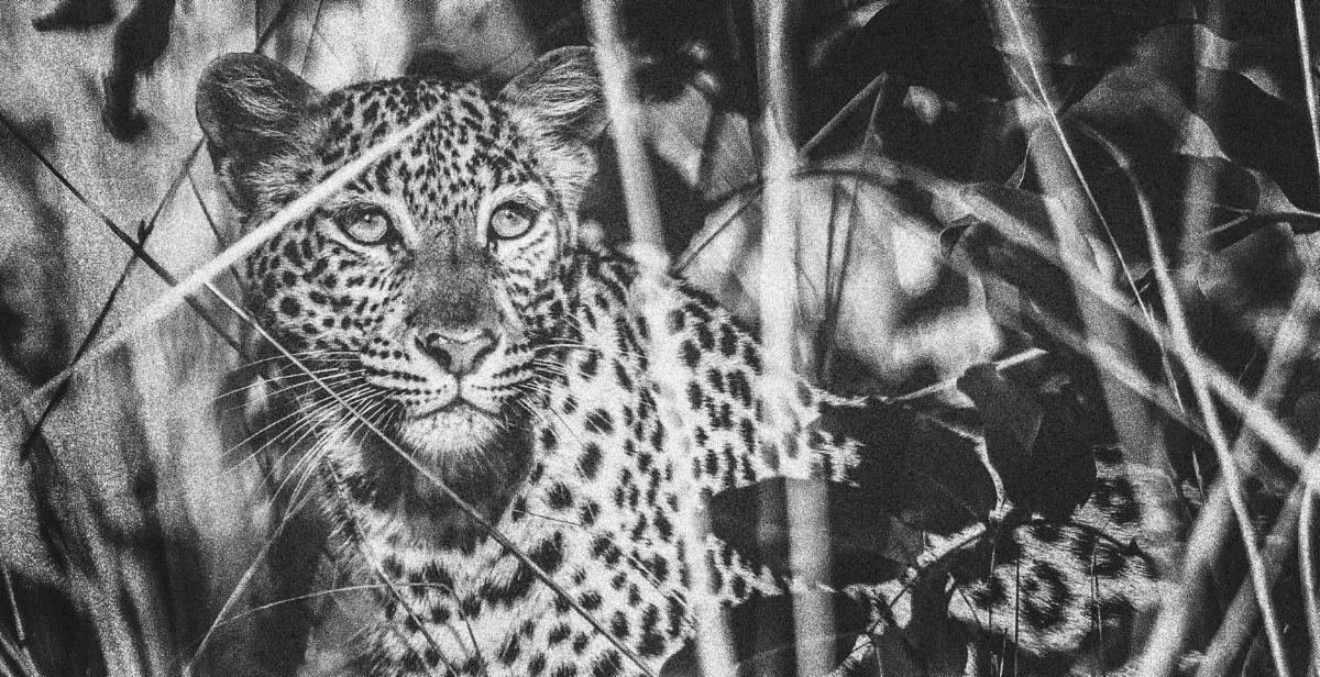 HS9A4694 2 copy MedRes