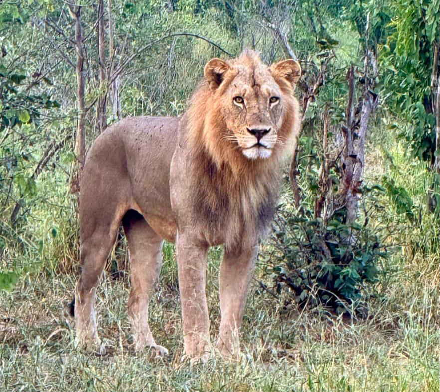 IMG 20250529 WA0041 copy