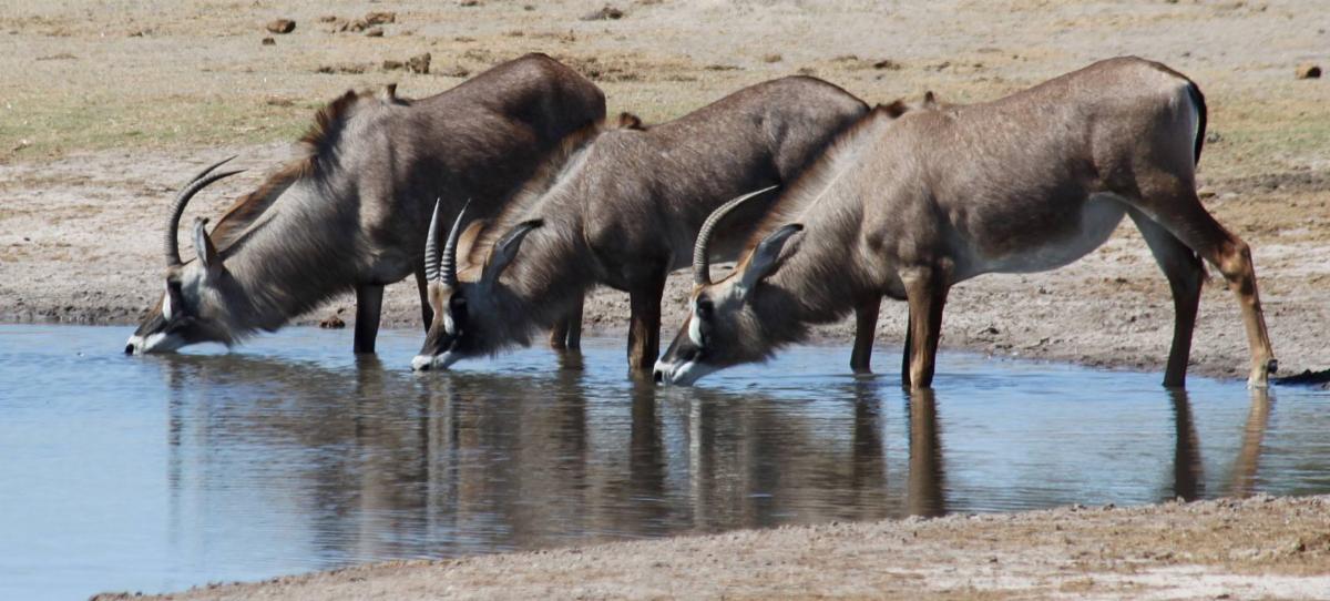 IMG 8884 copy MedRes