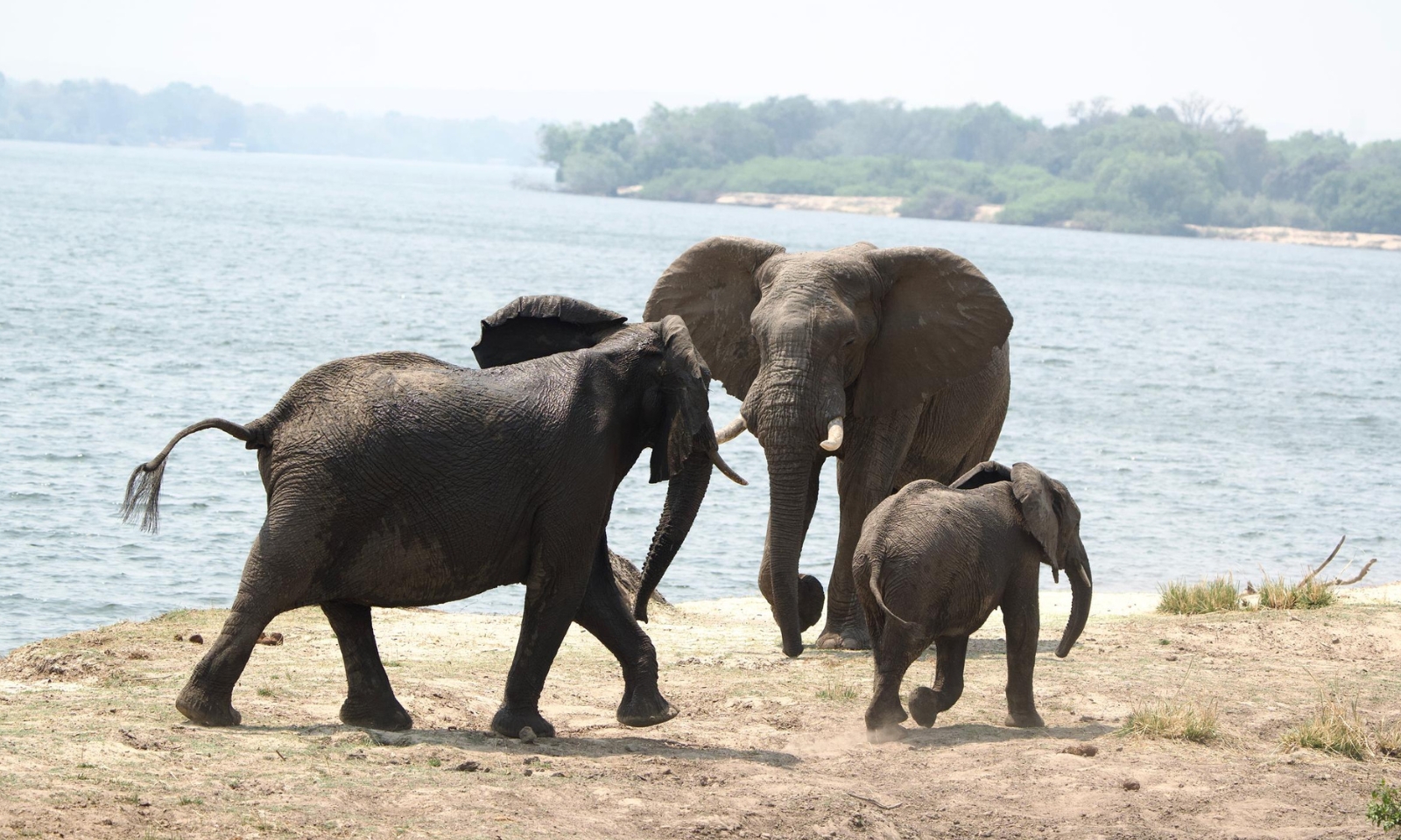 Untitled 1600 x 960 px 1