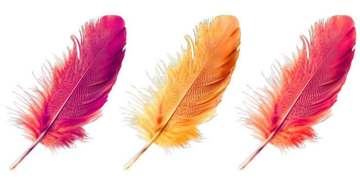 Untitled design copy