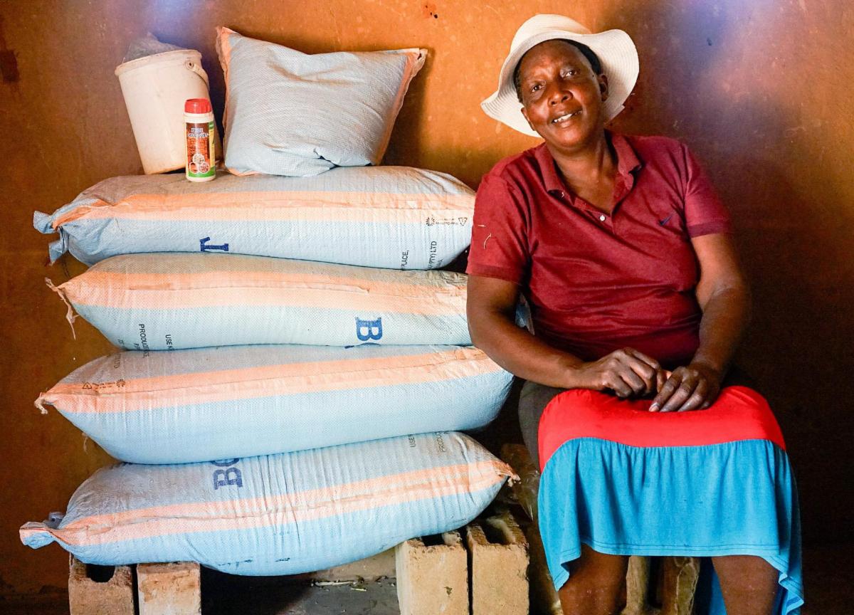 From Weaving to Wildlife Conservation 2 WhatsApp Image 2025 10 21 at 14.43.33 copy MedRes