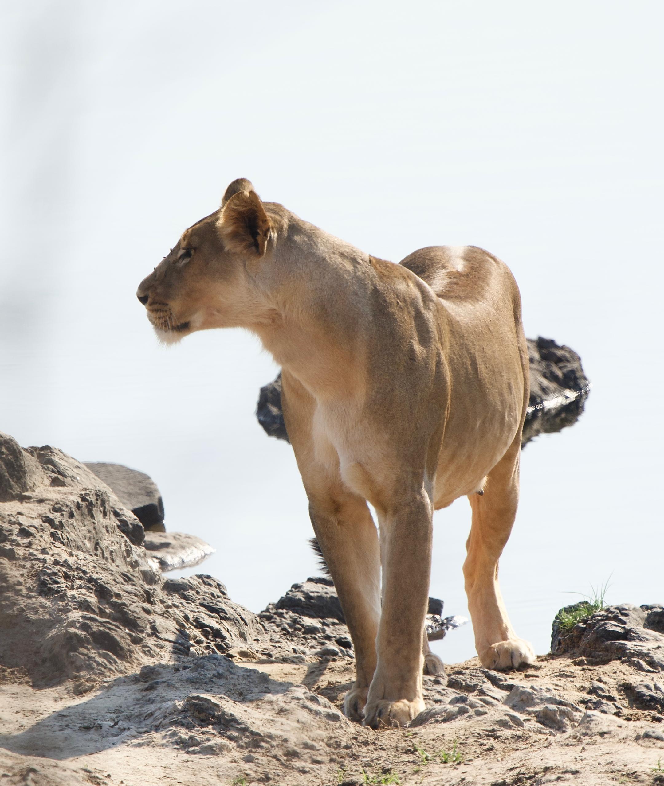 WhatsApp Image 2025 10 30 at 08.16.06