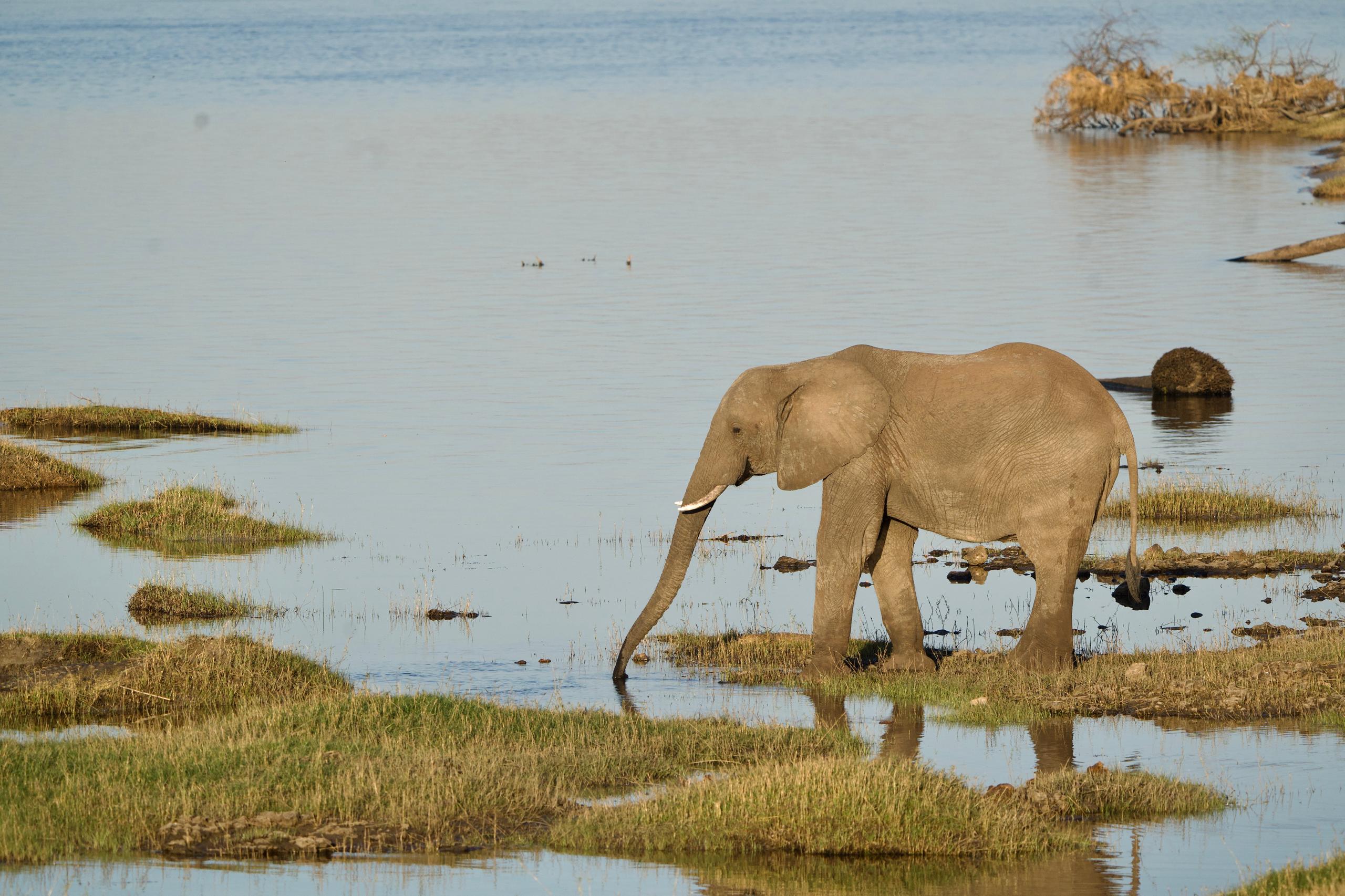 WhatsApp Image 2025 10 30 at 08.19.43