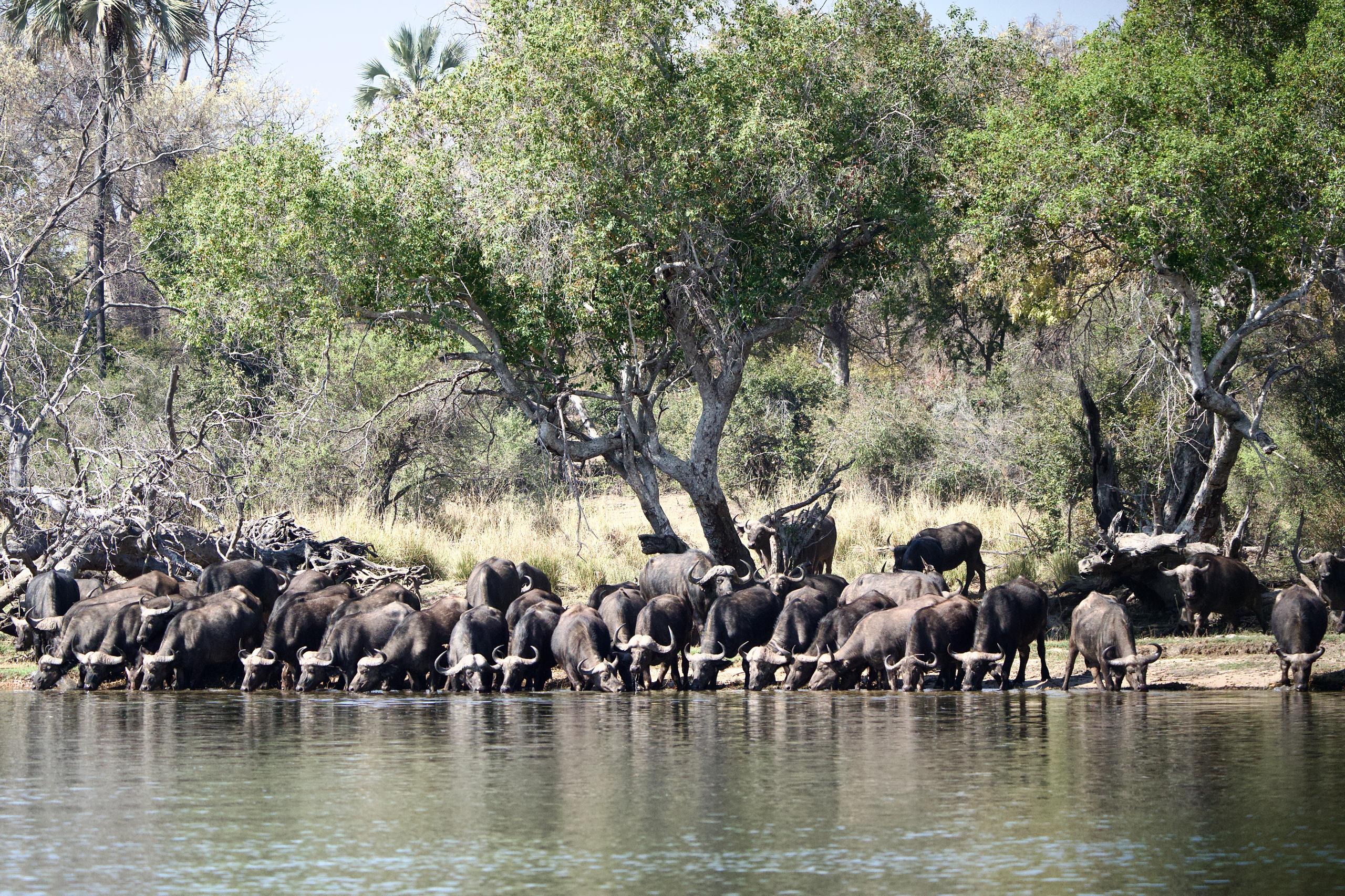 WhatsApp Image 2025 10 30 at 08.21.24