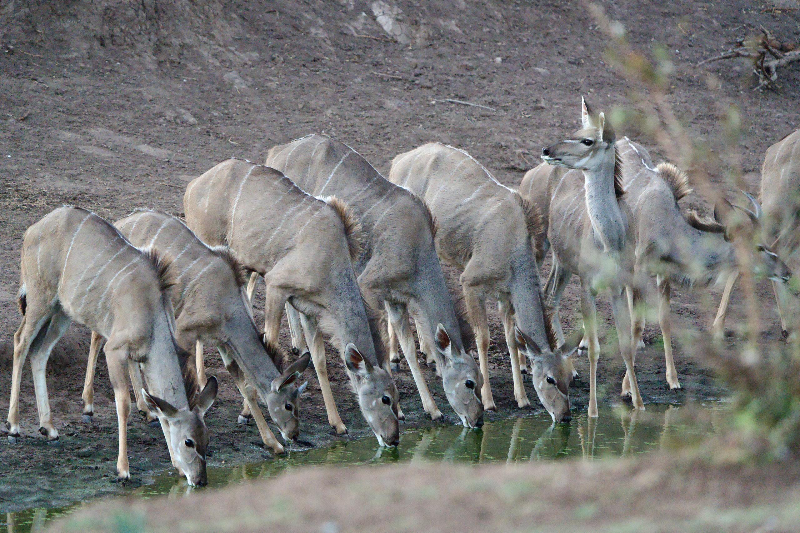 WhatsApp Image 2025 10 30 at 08.25.12