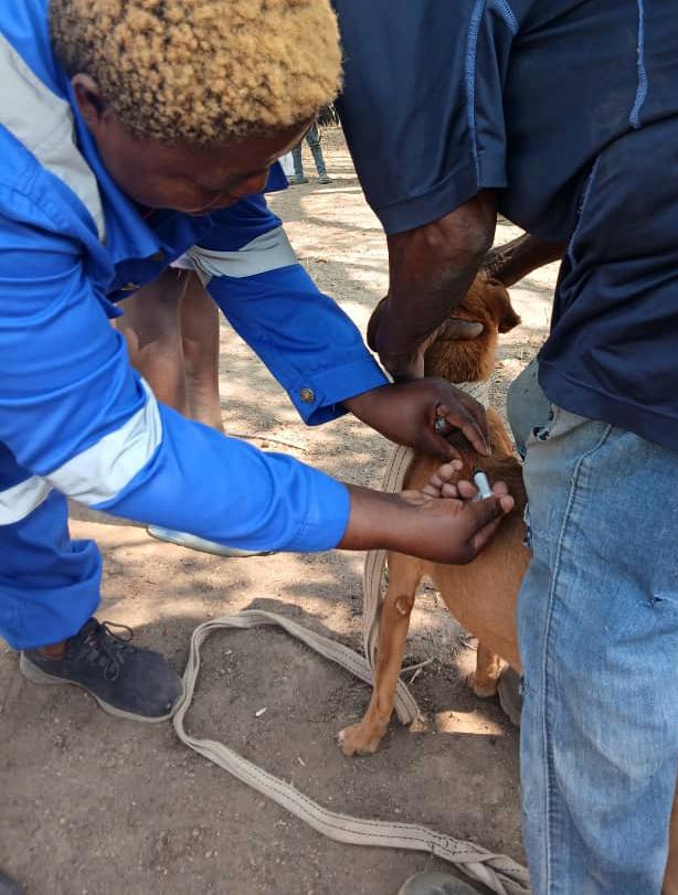 WhatsApp Image 2025 11 14 at 11.48.52