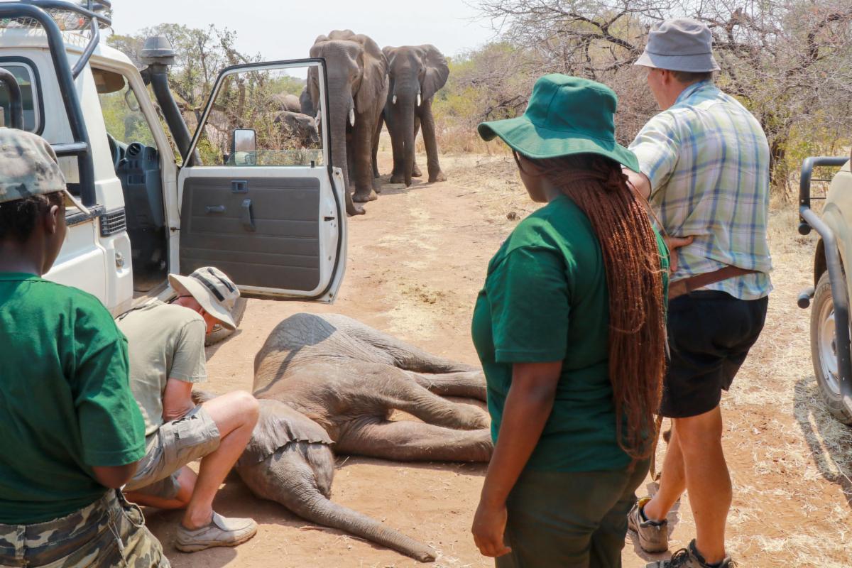 Bushtalk November 2023 Newsletter 82 bushtalk nov 2023