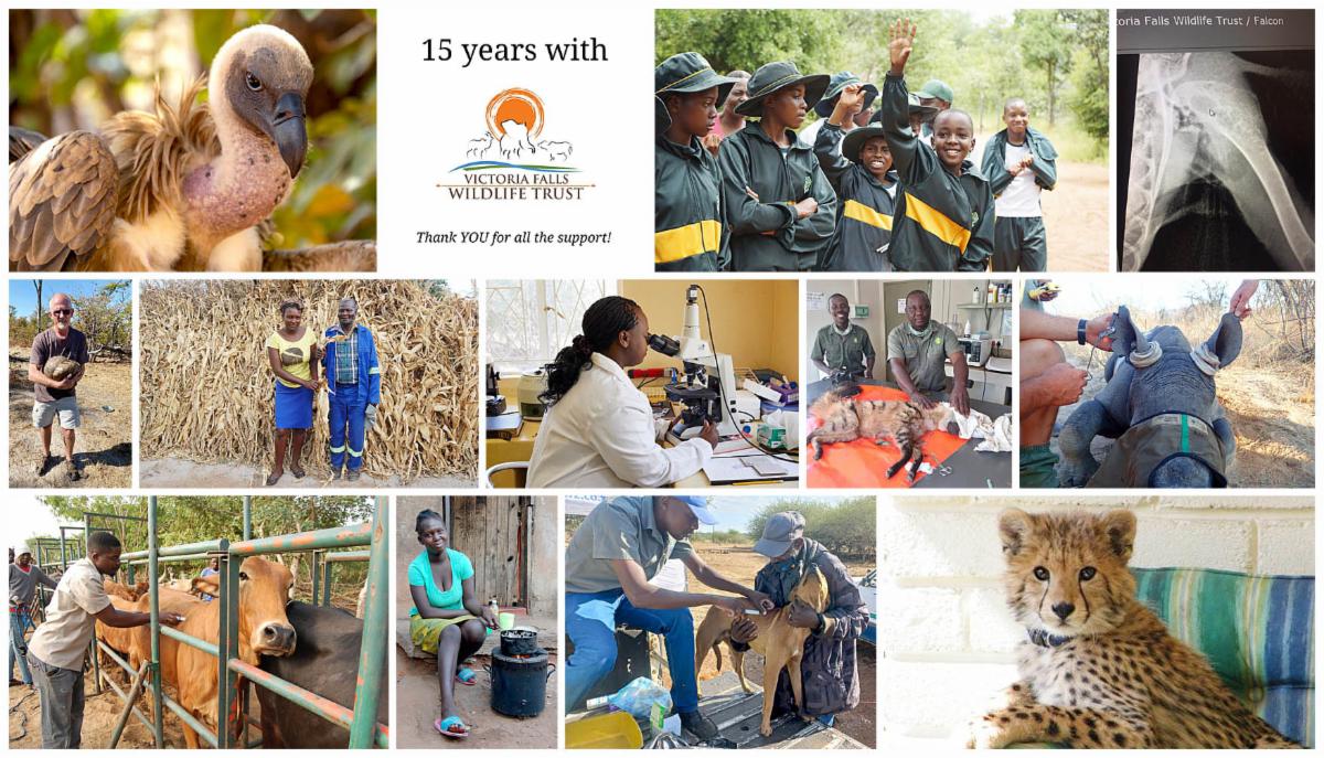 final header image 15 year anniversary copy