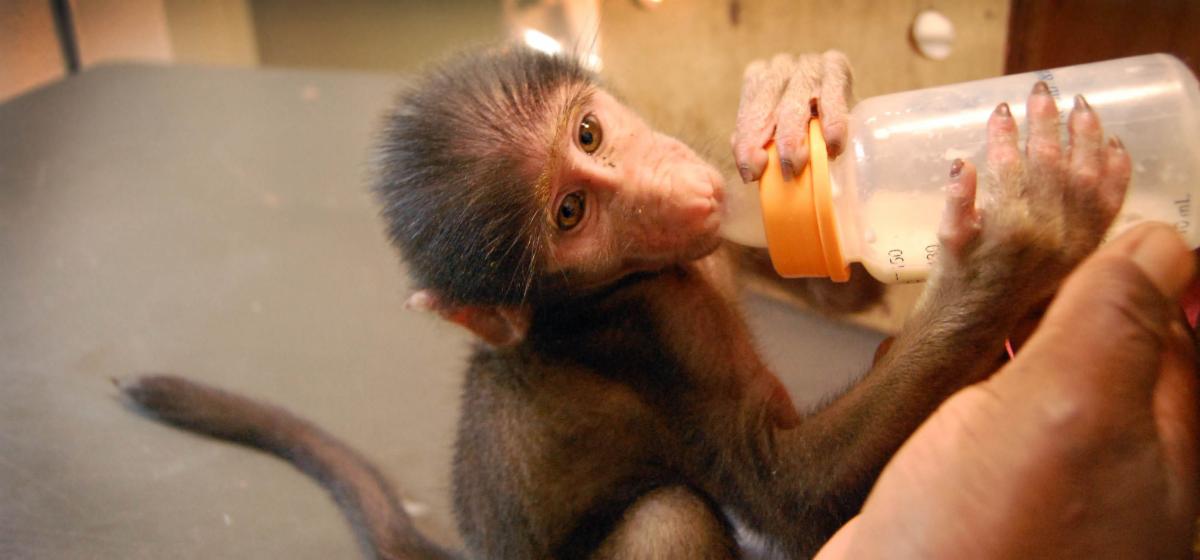 Bushtalk - February 2023 1 header feb 2023